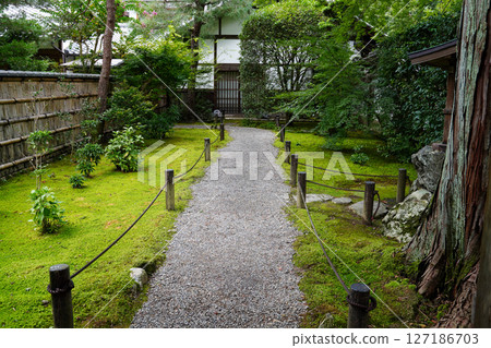 Scenery of the grounds of Jizo-in Temple, Kyoto 127186703