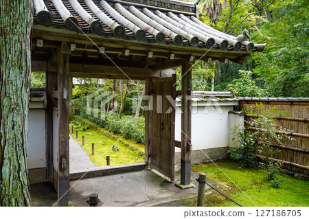 Scenery of the grounds of Jizo-in Temple, Kyoto 127186705