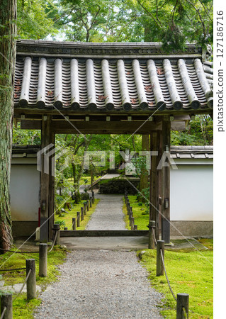 京都地藏院寺院內的風景 127186716