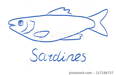 Hand drawn illustration of sardines showcasing their distinct features and anatomy 127186737