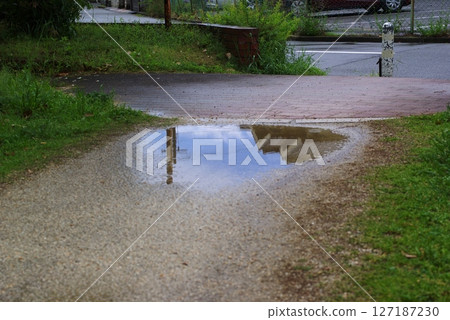 After the rain 127187230