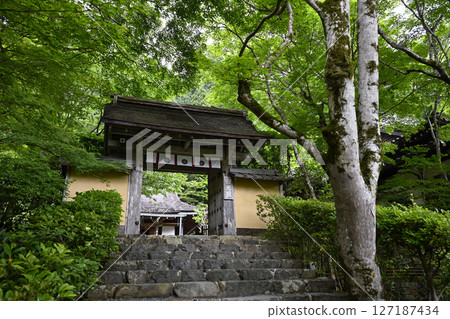 Shokoin 127187434