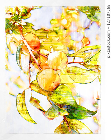 素描 素描風格 柿子 澀柿插圖 秋天的味道 日本柿子 國產 新鮮 清爽 收穫 農夫 素描 素描風格 柿子 澀柿插圖 秋天的味道 日本柿子 國產 新鮮 清爽 收穫 農夫 127187568