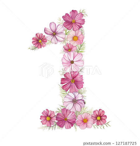 numbers alphabet and flowers white background 127187725