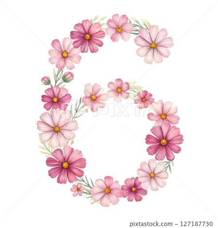 numbers alphabet and flowers white background 127187730