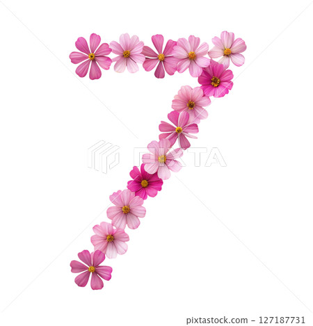 numbers alphabet and flowers white background 127187731