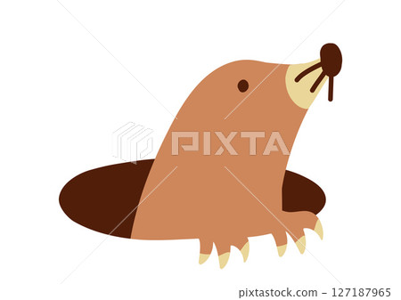 Mole peeking out of a hole illustration 127187965