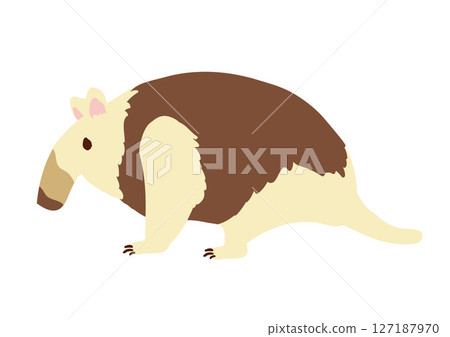 Aliky插圖 127187970