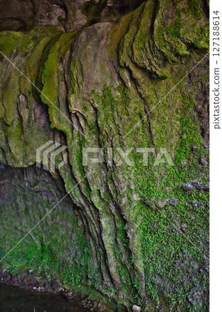 Ioki洞 Ioki洞 127188614