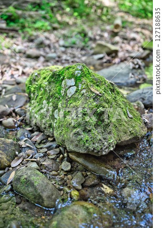 Fossils of Iokido Cave 127188635