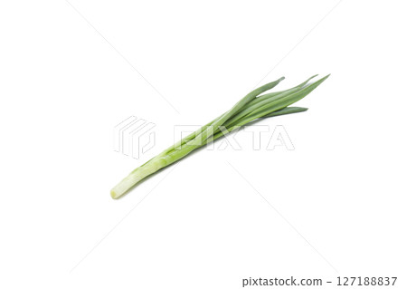 PNG, Green onion, isolated on white background PNG, Green onion, isolated on white background 127188837