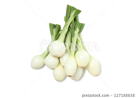 PNG, Green onion, isolated on white background 127188838