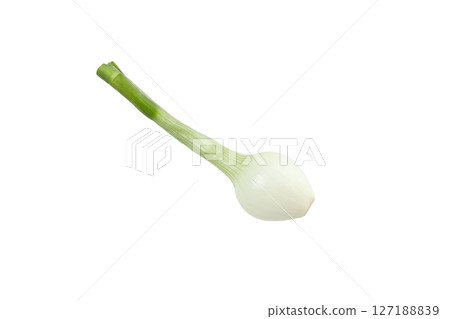 PNG, Green onion, isolated on white background 127188839