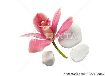Pink orchid with smooth white stones, isolated on white Pink orchid with smooth white stones, isolated on white 127188867