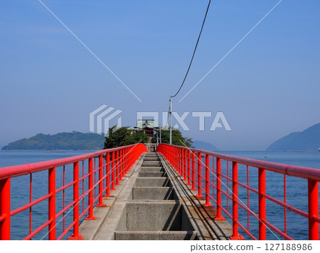 Continue to the main shrine (3) [Tsushima Shrine] 127188986