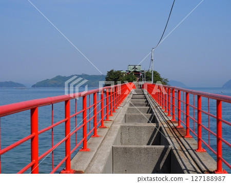 Continue to the main shrine (2) [Tsushima Shrine] 127188987