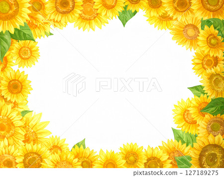 Sunflower copy space 127189275