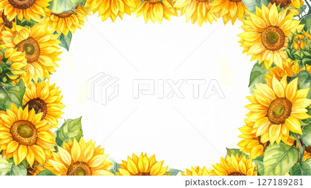 Sunflower copy space 127189281