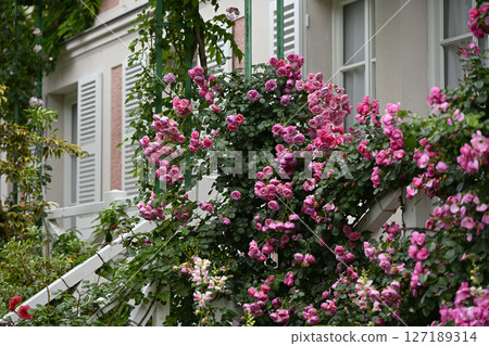 花卉博物館（濱名湖花園公園） 127189314