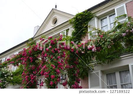 花卉博物館（濱名湖花園公園） 127189322