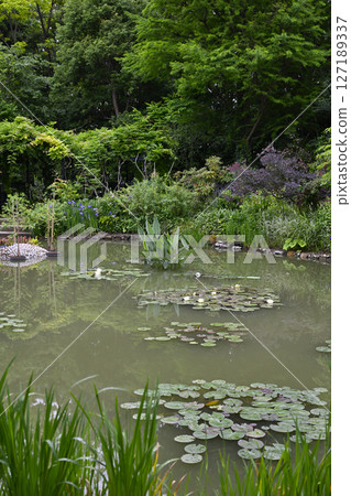 花卉博物館（濱名湖花園公園） 127189337