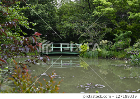 花卉博物館（濱名湖花園公園） 127189339