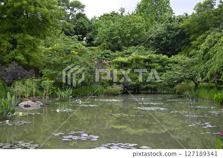 花卉博物館（濱名湖花園公園） 127189341