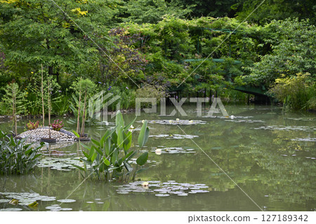 花卉博物館（濱名湖花園公園） 127189342
