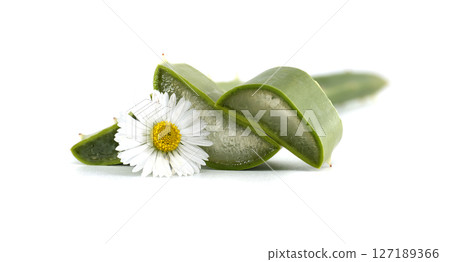 Aloe vera slices and a daisy bloom together, conveying natural skincare and wellness. 127189366