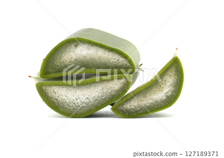 Close-Up of Freshly Cut Aloe Vera Leaf Isolated on White Background Close-Up of Freshly Cut Aloe Vera Leaf Isolated on White Background 127189371