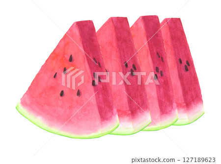 Watermelon watercolor hand drawn illustration 127189623