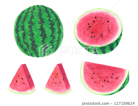Watermelon watercolor hand drawn illustration 127189624