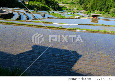 Reflected Sanaeda 127189959