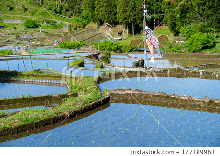 Sanaeda's Carp Streamers 127189961