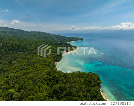 Aerial view of tropical island with lush of green forest. Ocean waves and azure water on coast. Samal, Davao. Philippines. Aerial view of tropical island with lush of green forest. Ocean waves and azure water on coast. Samal, Davao. Philippines. 127190113