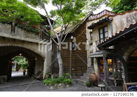 Warmth forest 127190136