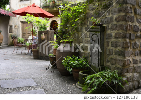 溫暖的森林 127190138