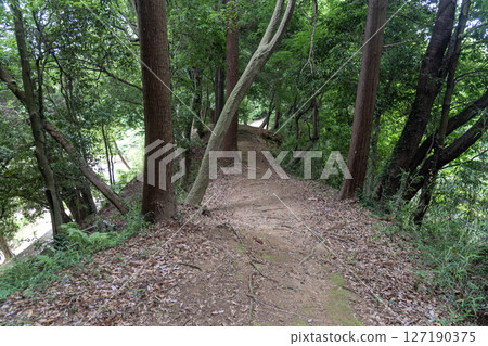 Oyamada Castle - Earthen bridge on the west ridge Oyamada Castle - Earthen bridge on the west ridge 127190375