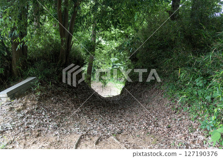 Remains of the tiger's mouth remaining at the Oyamada Castle ruins 127190376