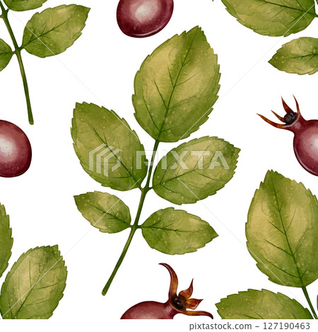 Rosehip leaves and berries seamless pattern 127190463
