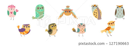 Cute Owl Bird Feathered Flying Animal with Wings Vector Set 127190663