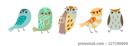 Cute Owl Bird Feathered Flying Animal with Wings Vector Set Cute Owl Bird Feathered Flying Animal with Wings Vector Set 127190669