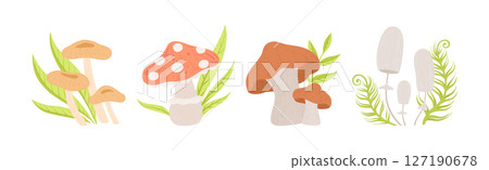 Forest Mushroom with Stem Growing in Green Grass Vector Set Forest Mushroom with Stem Growing in Green Grass Vector Set 127190678