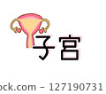 子宮 127190731