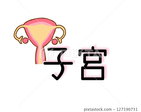 子宮 127190731