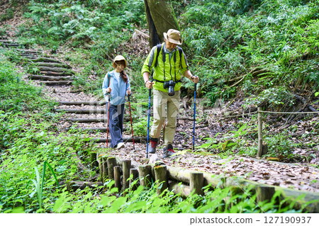 Hiking, trekking, senior, walking, mountain climbing Hiking, trekking, senior, walking, mountain climbing 127190937