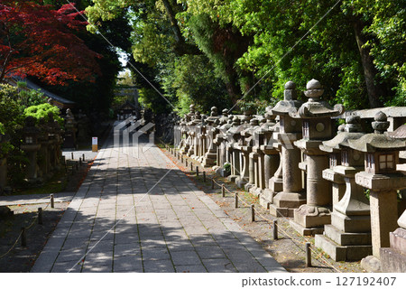 The approach to Iwashimizu Hachimangu Shrine, affectionately known as Yawata no Hachiman-san 127192407