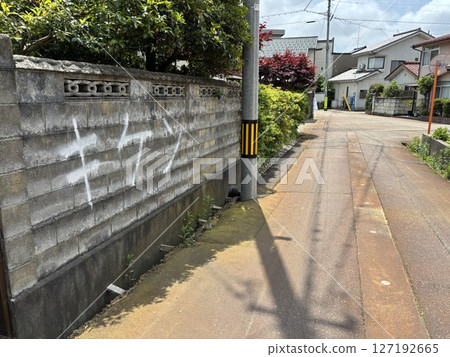Disaster area: Fushiki district, Takaoka city, Toyama prefecture 127192665
