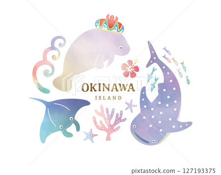 Okinawa creature illustrations 127193375