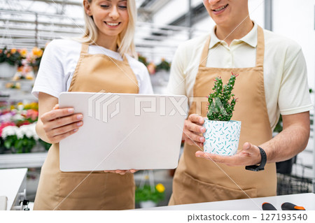 Two florists in aprons examine a small cactus and use a laptop together in a shop. 127193540